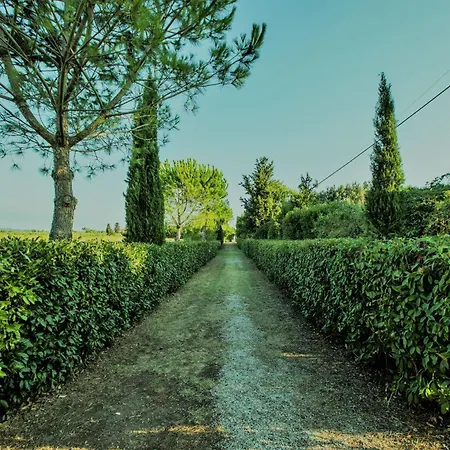 Podere Simonetta - A10 Cecina (Livorno)