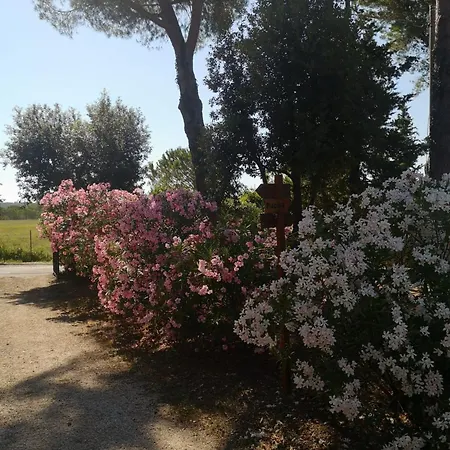 Podere Simonetta - A10 Casa de Férias Cecina (Livorno)